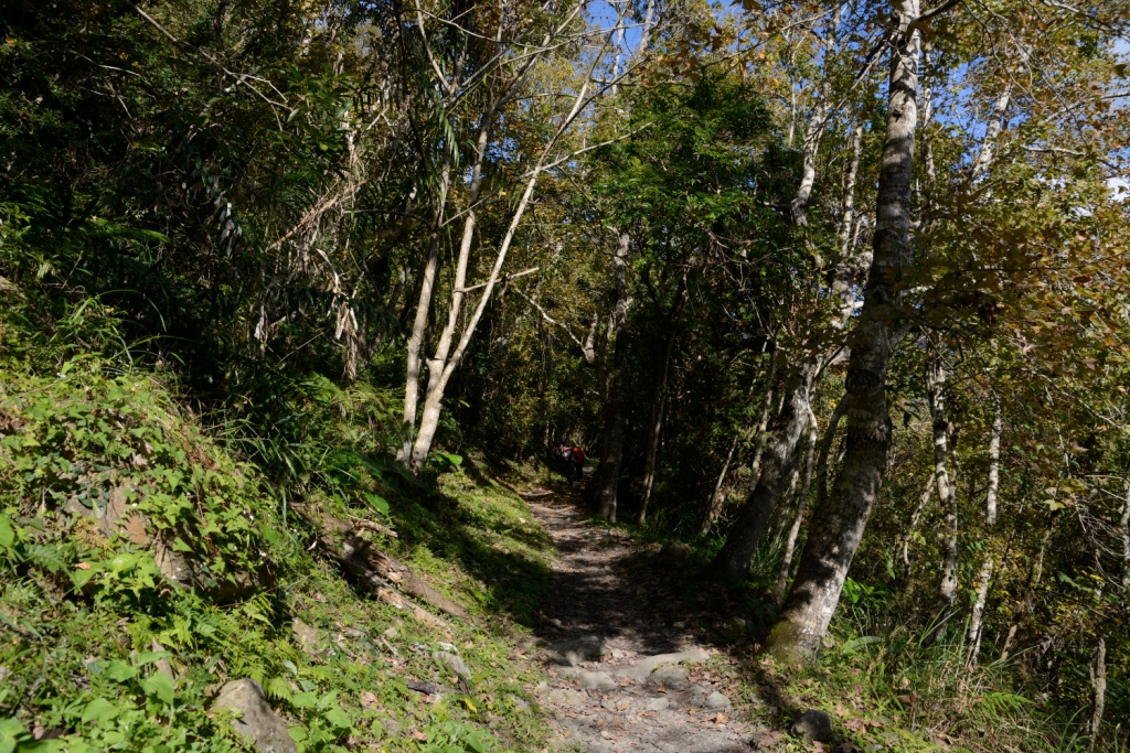 瓦拉米步道 Waramy Trail