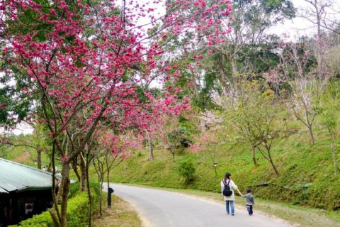 東勢林場遊樂區 Dongshi Forest Garden