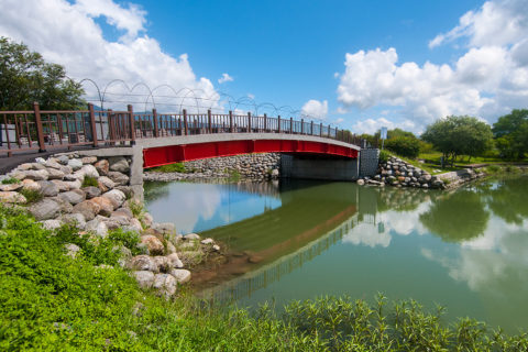 大坡池　Dapo Pond