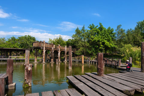 羅東運動公園 Luodong Sports Park