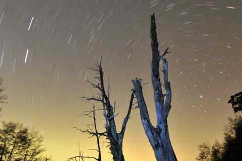 阿里山國家風景區-觸口遊客中心
