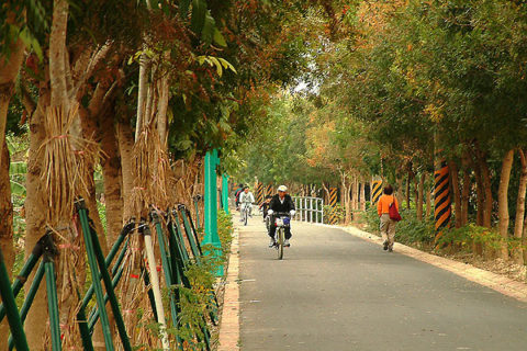 東豐自行車綠廊 Dongfong bike trail