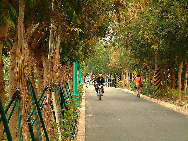東豐自行車綠廊,自行車,綠廊