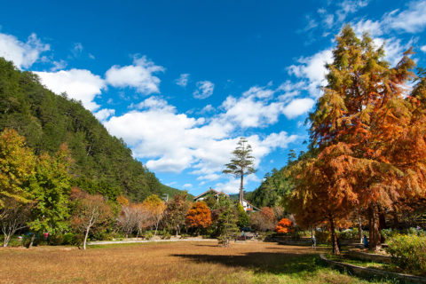 武陵國家森林遊樂區 Wuling National Forest Recreation Area