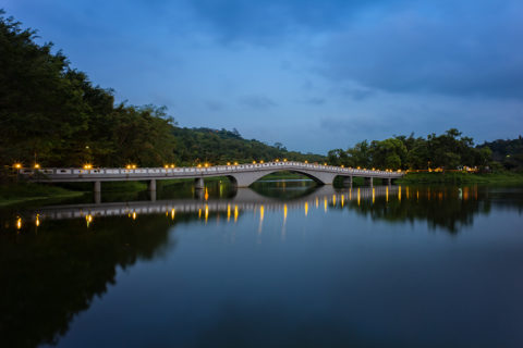 青草湖 Green Grass Lake