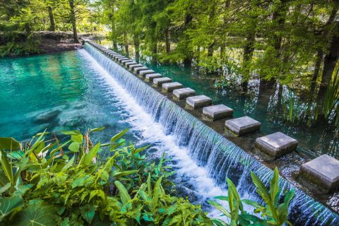 花蓮包車旅遊、六十金針花包車旅遊(季節限定)