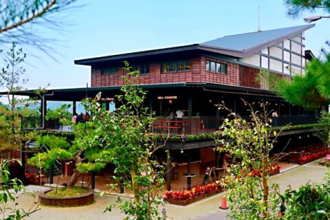 南投包車旅遊-喝喝茶、妖怪村、鳳凰谷鳥園