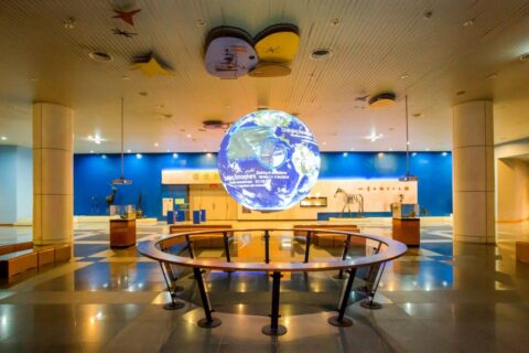 台中包車旅遊-台中包車一日遊 不可不知的米其林之旅!