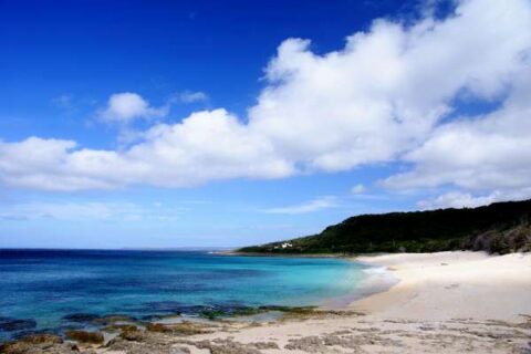 屏東包車推薦~鵝鑾鼻燈塔、佳樂水、星砂灣