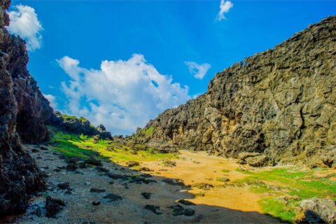 屏東包車跨年行程/龍坑生態保護區、社頂自然公園