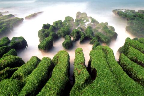 新北包車首選~跨年旅遊就靠這篇了!