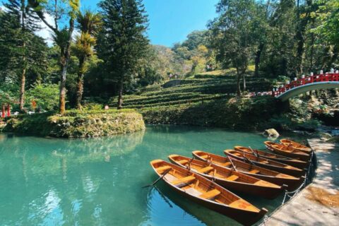 專為新北親子包車共遊打造，非看不可!