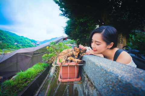 必去貓奴聖地~新北包車一日遊景點推薦